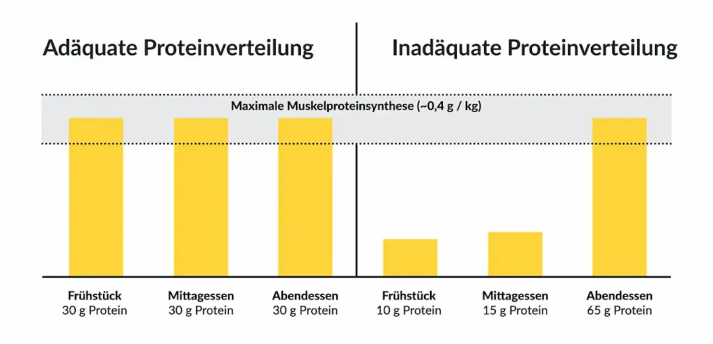 Wie Viel Protein Brauchen Sie Wirklich? Nutzen Sie Unseren Online Proteinrechner