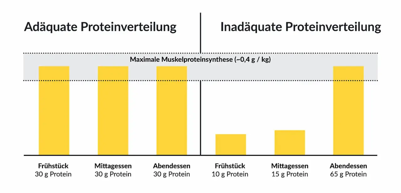 Wie Viel Protein Brauchen Sie Wirklich? Nutzen Sie Unseren Online Proteinrechner
